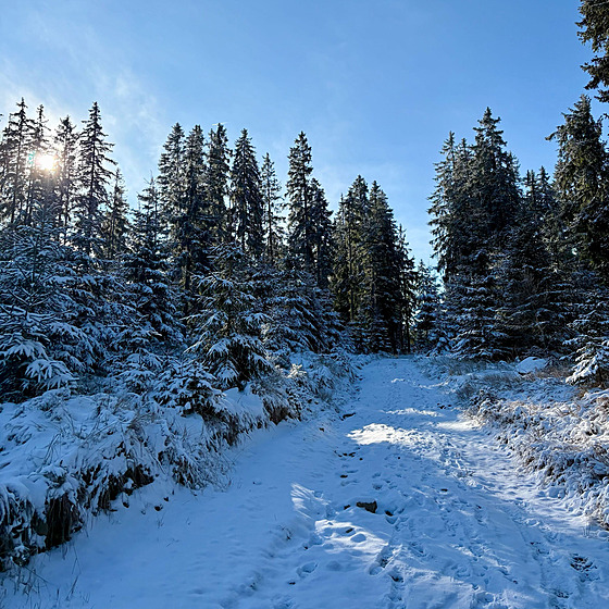 ilustra�ní snímek