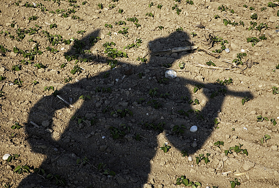 Farmá� stojící na poli. (9. kv�tna 2011)