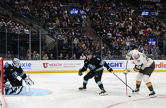 Tomá� Hertl se tla�í ke st�ele na Karla Vejmelku.