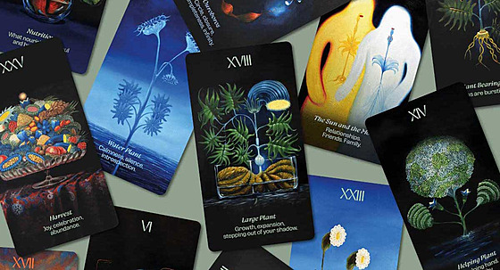 �eská malí�ka Klára Sedlo p�edstaví vykládací karty podle 600 let starého...