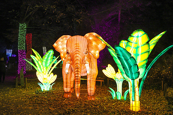 Popus�te uzdu fantazii - vyrazte do Divoké Asie!