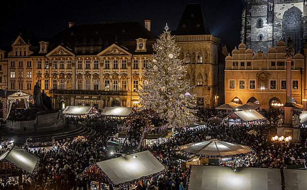Přece se našel. Vánoční smrk zamíří na Staroměstské náměstí z Podještědí