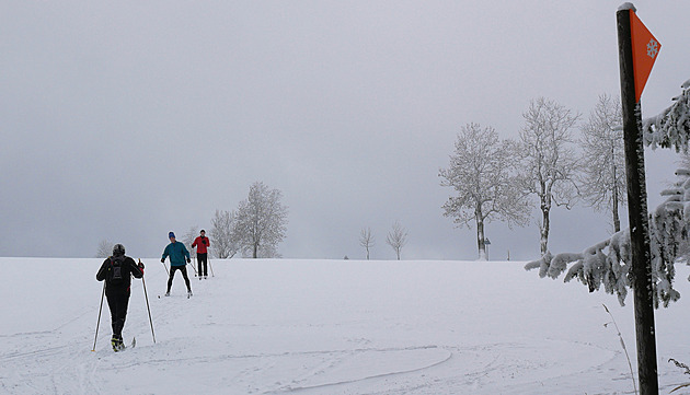İlk kayakçılar Vysočina'daki beyaz pistleri takip ediyor