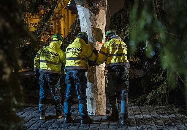 Na Staroměstském náměstí přes noc vztyčili vánoční strom. Rozsvítí ho v sobotu
