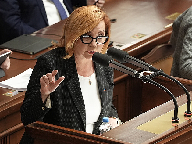 Chtějí nás vyloučit, i když sami vládnou s ODS. Rebelům z ANO vadí dvojí metr