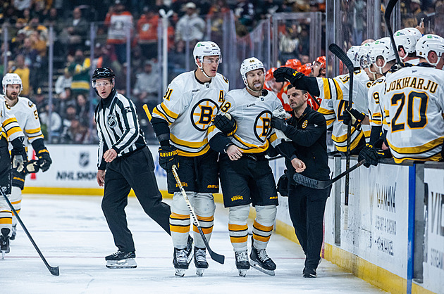 Stačila jedna rána. Gudas v bitce vypnul soupeře, z ledu mu pomáhali spoluhráči