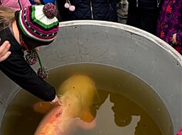 Sumce Fandu vrtili do Svta v Teboni. Na cest ze sdek do rybnka ho doprovodily dti.