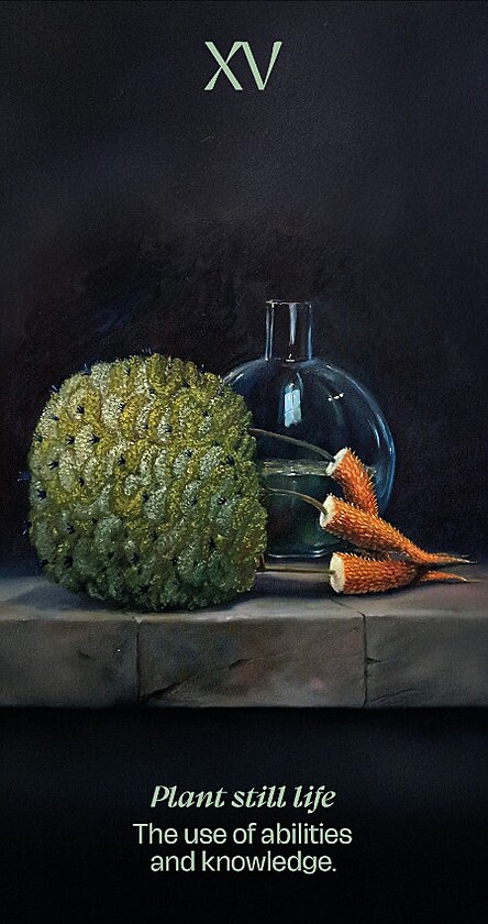 �esk� mal��ka Kl�ra Sedlo p�edstav� vykl�dac� karty podle 600 let star�ho...