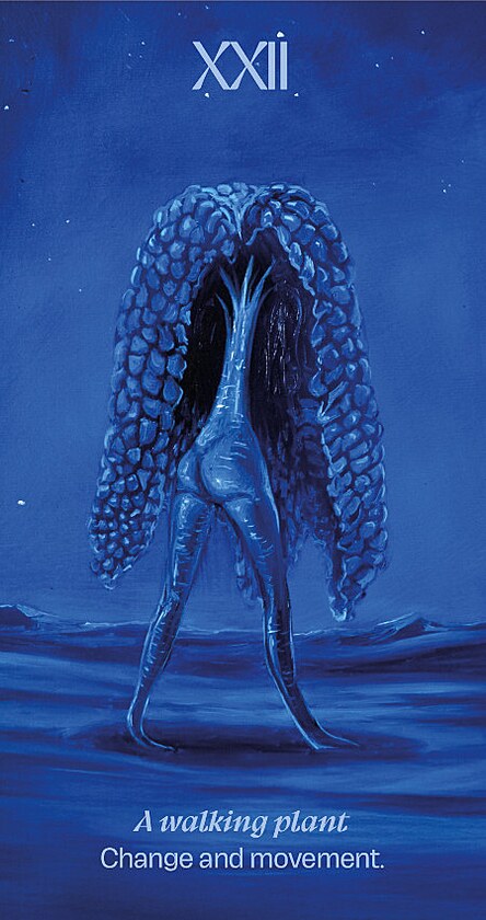 �esk� mal��ka Kl�ra Sedlo p�edstav� vykl�dac� karty podle 600 let star�ho...