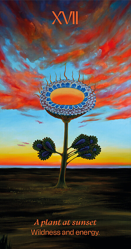 �esk� mal��ka Kl�ra Sedlo p�edstav� vykl�dac� karty podle 600 let star�ho...