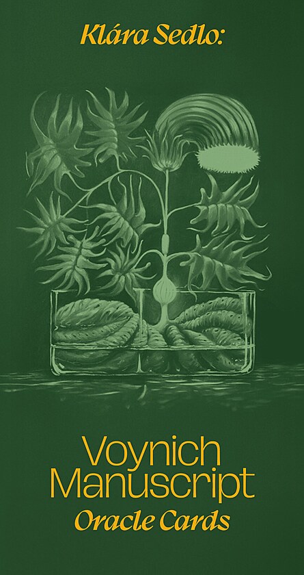 �esk� mal��ka Kl�ra Sedlo p�edstav� vykl�dac� karty podle 600 let star�ho...