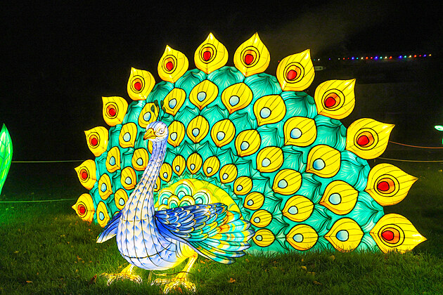 Popus�te uzdu fantazii - vyrazte do Divok� Asie!