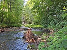 Dal�� dv� koryta tok� obnovily v Moravskoslezsk�m kraji Lesy �esk� republiky v...