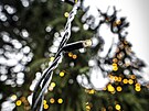 Zdoben� v�no�n�ho stromu na Starom�stsk�m n�m�st� v Praze (26. listopadu 2025)
