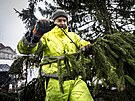 Zdoben� v�no�n�ho stromu na Starom�stsk�m n�m�st� v Praze (26. listopadu 2025)