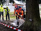 V�no�n� strom pro Starom�stsk� n�m�st� v Praze dnes u��zli d�evorubci v osad�...