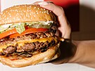Five Guys burger