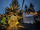 Instalace v�no�n�ho strome�ku na Starom�stsk�m n�m�st� v Praze. Zdoben�...