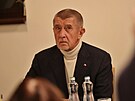 ��f hnut� ANO a pravd�podobn� p��t� premi�r Andrej Babi� na setk�n� se sv�mi...