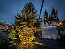 Zdoben� v�no�n�ho strome�ku na Starom�stsk�m n�m�st� (27. listopadu 2025)
