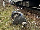 Na trati mezi Zliv� a D�v�icemi na �eskobud�jovicku se r�no srazil rychl�k s...