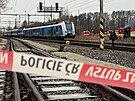 Na trati mezi Zliv� a D�v�icemi na �eskobud�jovicku se r�no srazil rychl�k s...