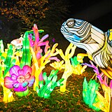 Popus�te uzdu fantazii - vyrazte do Divok� Asie!