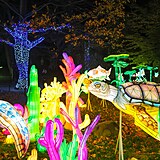 Popus�te uzdu fantazii - vyrazte do Divok� Asie!