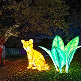 Popus�te uzdu fantazii - vyrazte do Divok� Asie!