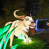 Popus�te uzdu fantazii - vyrazte do Divok� Asie!