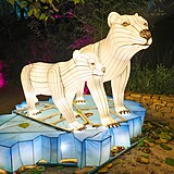 Popus�te uzdu fantazii - vyrazte do Divok� Asie!