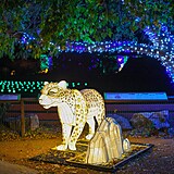 Popus�te uzdu fantazii - vyrazte do Divok� Asie!