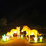 Popus�te uzdu fantazii - vyrazte do Divok� Asie!