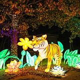 Popus�te uzdu fantazii - vyrazte do Divok� Asie!