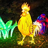 Popus�te uzdu fantazii - vyrazte do Divok� Asie!