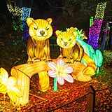 Popus�te uzdu fantazii - vyrazte do Divok� Asie!