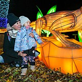 Popus�te uzdu fantazii - vyrazte do Divok� Asie!