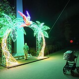 Popus�te uzdu fantazii - vyrazte do Divok� Asie!