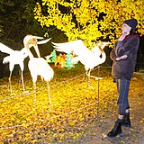 Popus�te uzdu fantazii - vyrazte do Divok� Asie!