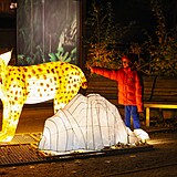 Popus�te uzdu fantazii - vyrazte do Divok� Asie!