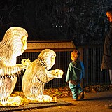 Popus�te uzdu fantazii - vyrazte do Divok� Asie!