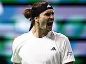 Alexander Zverev z Nmecka se raduje z výhry ve dvouhe v Davis Cupu.