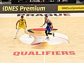 Tomá Satoranský bhem utkání proti védsku v kvalifikaci o MS.