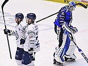 Zklamaný vítkovický branká Klime jako by nevil, co se to v Plzni dje.