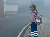 Stedoeské obce instalují na rizikových místech makety kolaky. (8. listopadu...