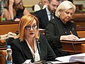 Schze snmovního rozpotového výboru. Na snímku Alena Schillerová (ANO). (24....