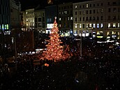 Na námstí Svobody v Brn se slavnostn rozsvítila dvanáctimetrová jedle (21....