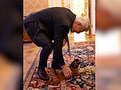 Prezident Pavel a Matýsek zvou v sobotu na Hrad