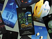 eská malíka Klára Sedlo pedstaví vykládací karty podle 600 let starého...