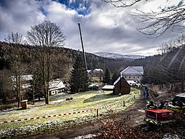 Váno�ní strom pro Starom�stské nám�stí v Praze u�ízli d�evorubci v osad� Lesná...